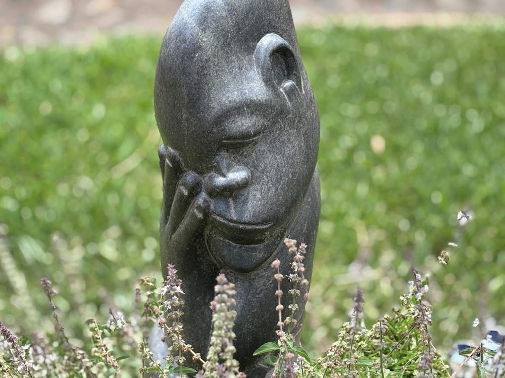 Some peace of art: head and other hand